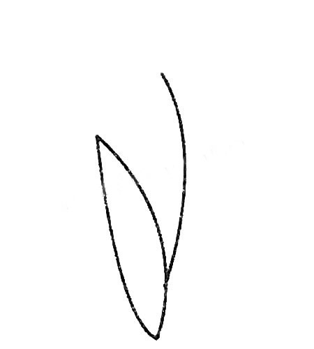 三步教你画简单的风信子