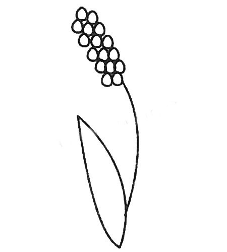 三步教你画简单的风信子