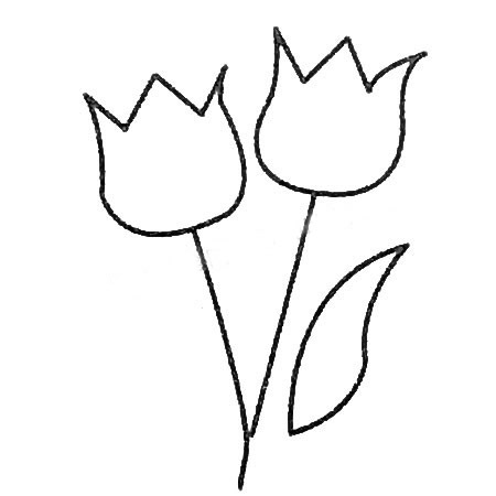 适合幼儿的郁金香简笔画