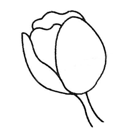 三步画一朵简单的郁金香