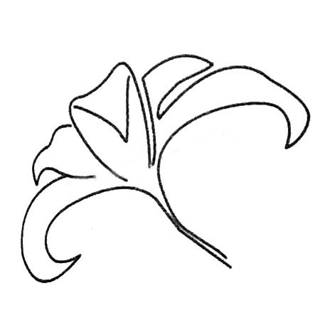 8款关于百合花的简笔画大全