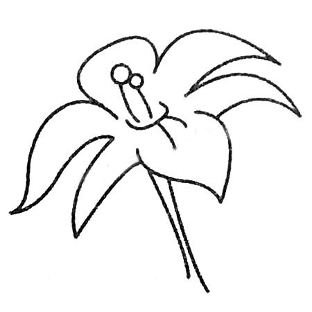 简单易学的百合花简笔画(一看就会哦)