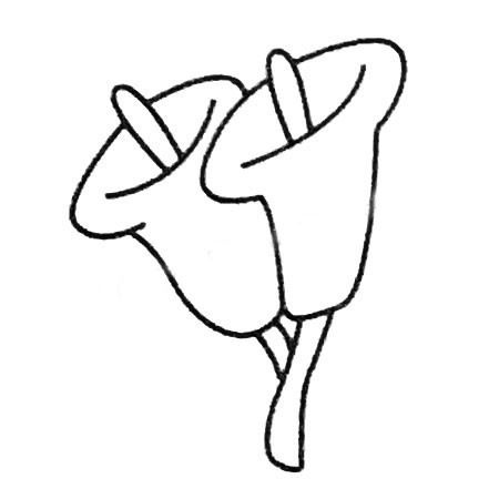 四步教你画简单的百合花(如何画简简单单)