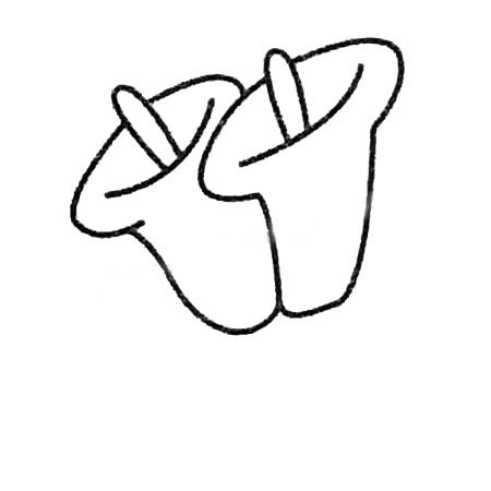 四步教你画简单的百合花