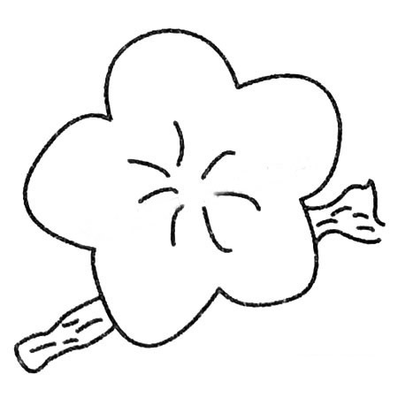 8款关于梅花的简笔画大全(关于梅花的简笔画大全)