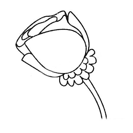 教你画简单的玫瑰花(教你画简单的玫瑰花怎么画)