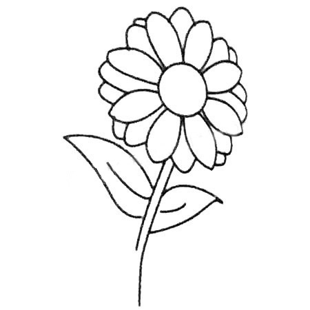 一朵菊花的简笔画(画一朵菊花简笔画)