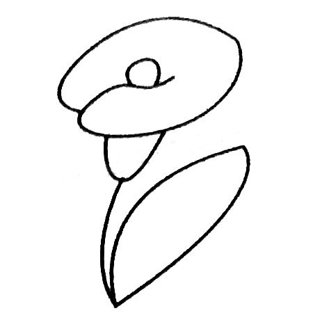 马蹄莲的简单画法(马蹄莲的简单画法怎么画)