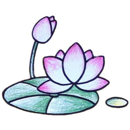 一步步教你画简单的荷花(教我怎么画简单的)