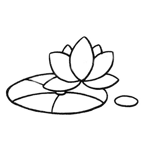 一步步教你画简单的荷花