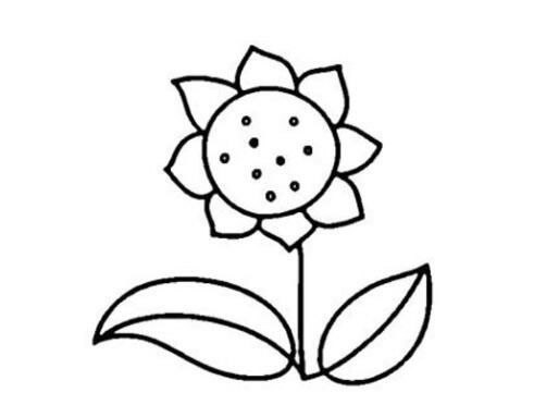 向日葵怎么画最简单(向日葵怎么画 简笔画)