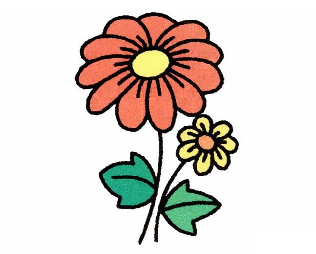 漂亮涂色的菊花简笔画(菊花怎么涂颜色)