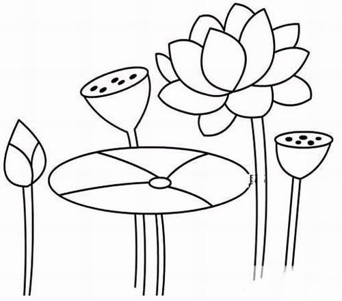 超简单的荷花简笔画(超简单荷花简笔画)