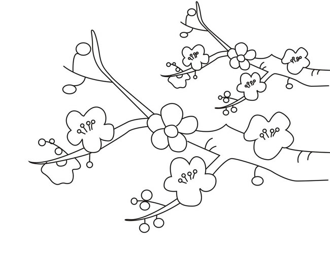 简单漂亮的腊梅怎么画(简单的腊梅怎么画)