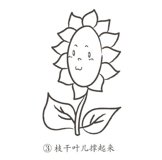带颜色的卡通向日葵简笔画