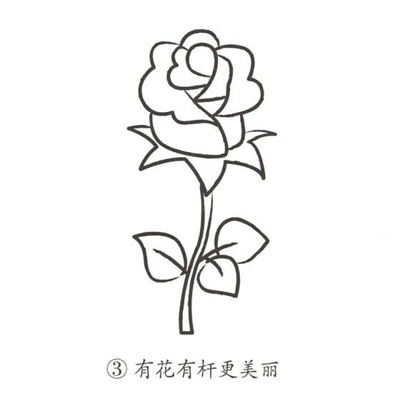 带颜色的玫瑰花简笔画怎么画