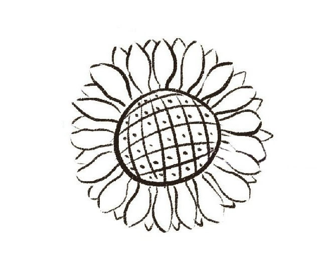 带颜色的向日葵简笔画怎么画