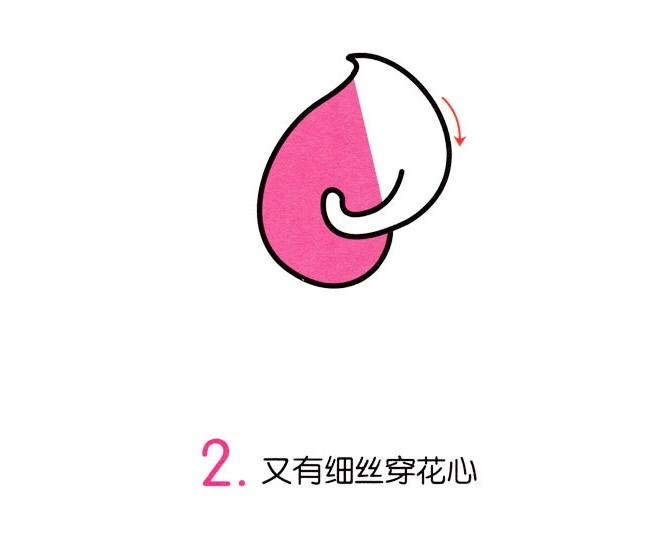 涂色的马蹄莲简笔画教程