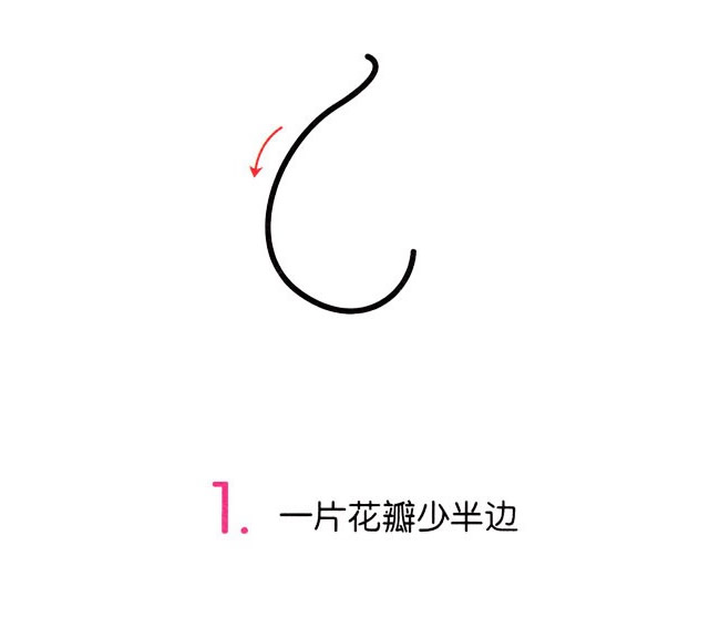 涂色的马蹄莲简笔画教程(马蹄莲简笔画涂色)