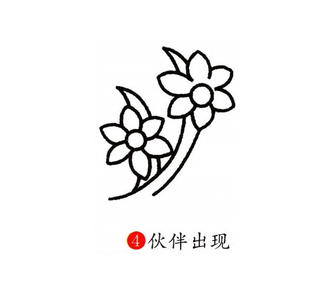 涂色的兰花简笔画教程