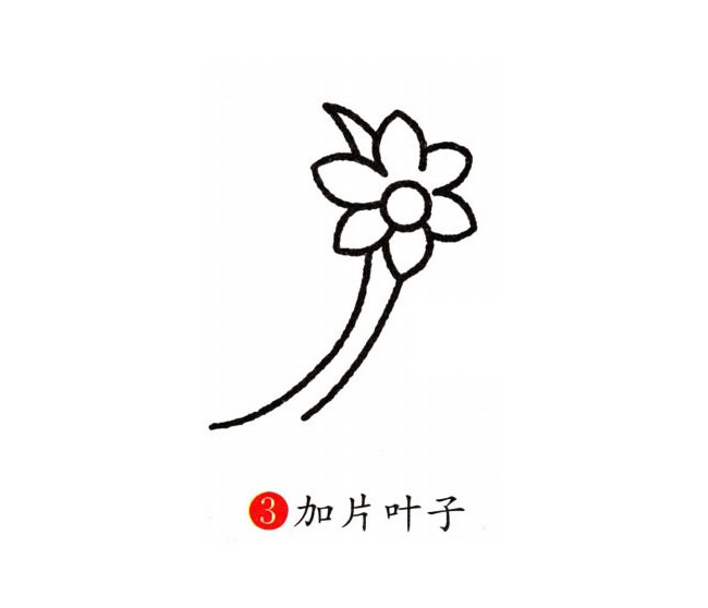 涂色的兰花简笔画教程
