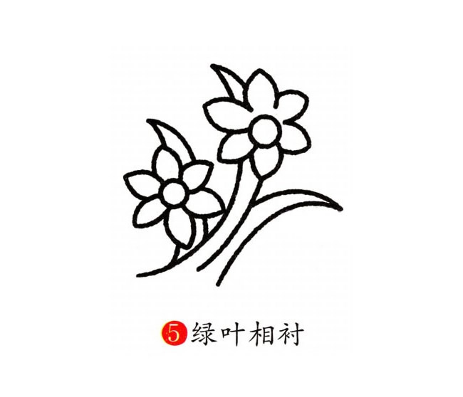 涂色的兰花简笔画教程