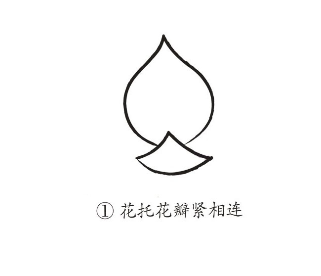 荷花简笔画步骤带颜色(简笔画荷花与荷叶)