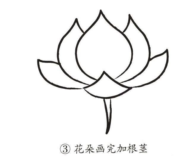 荷花简笔画步骤带颜色