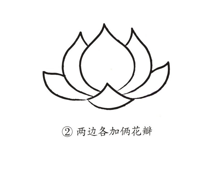 荷花简笔画步骤带颜色