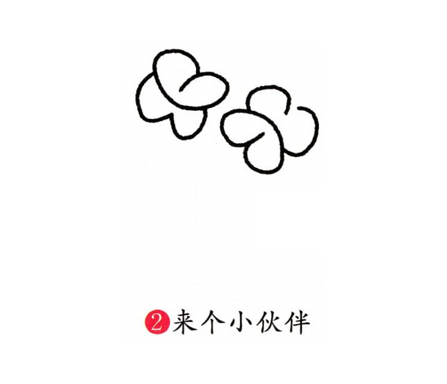 涂色的蝴蝶兰简笔画教程