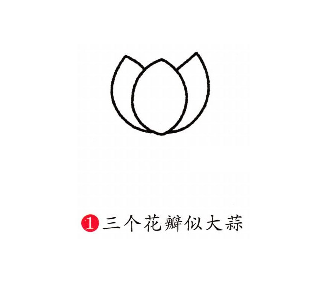彩色的荷花简笔画教程(彩色的荷花图片)