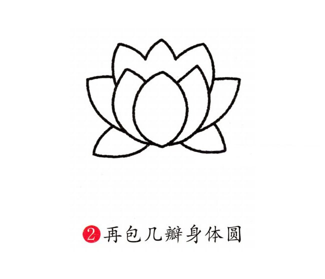 彩色的荷花简笔画教程