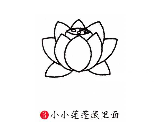 彩色的荷花简笔画教程