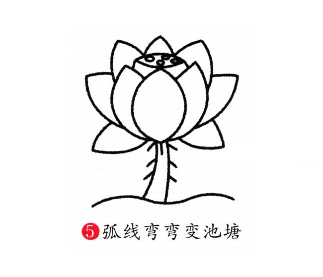 彩色的荷花简笔画教程