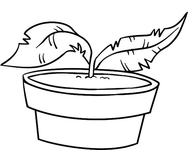 食人花简笔画教程