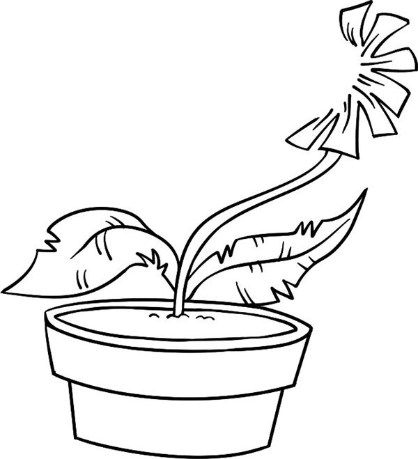 食人花简笔画教程