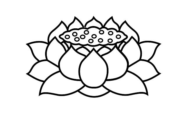 关于莲蓬花的简笔画(莲蓬简笔画图片大全大图)