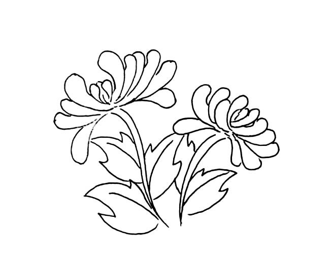 简单的菊花怎么画(简单菊花怎么画好看又漂亮图片大全)