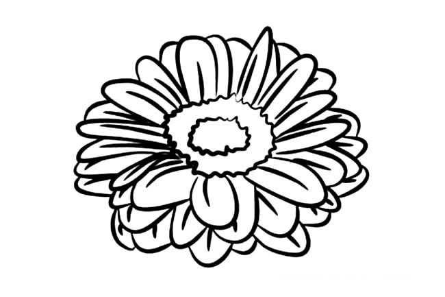 盛开的花朵简笔画(盛开的花朵简笔画彩色)