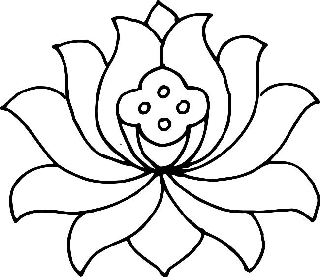 一朵大荷花简笔画(一朵荷花图)