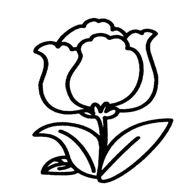 一朵小花的简笔画(一朵小花的简笔画图片大全)