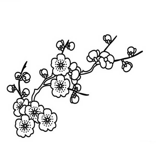 关于梅花的简笔画(关于梅花的简笔画图案)