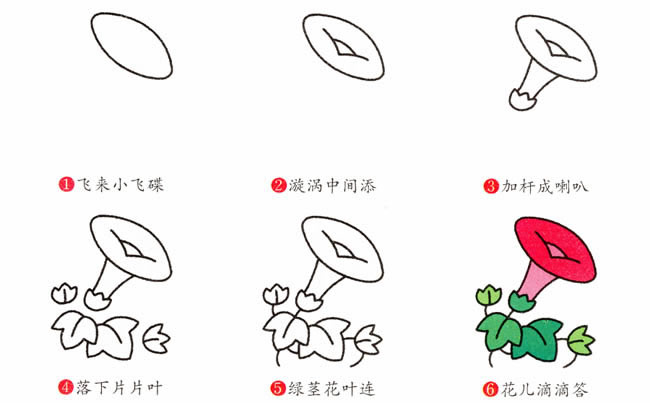 带颜色的牵牛花简笔画教程(带颜色的牵牛花简笔画)
