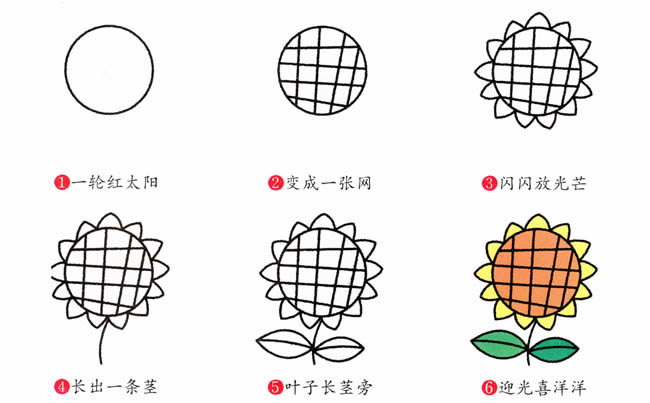 带颜色的向日葵简笔画教程(向日葵颜色画画)