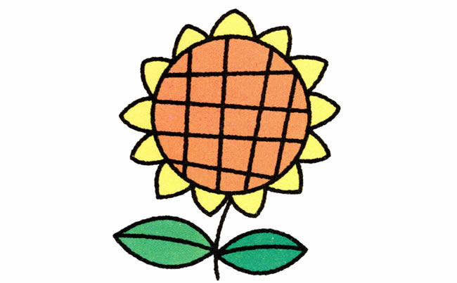 带颜色的向日葵简笔画教程