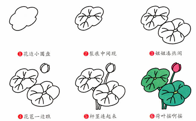涂色的荷花简笔画教程(画荷花涂色怎么图)