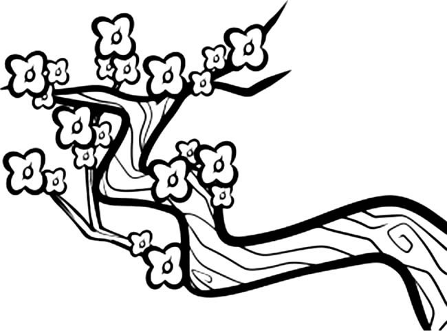 关于梅花的儿童简笔画(关于《梅花》的画)