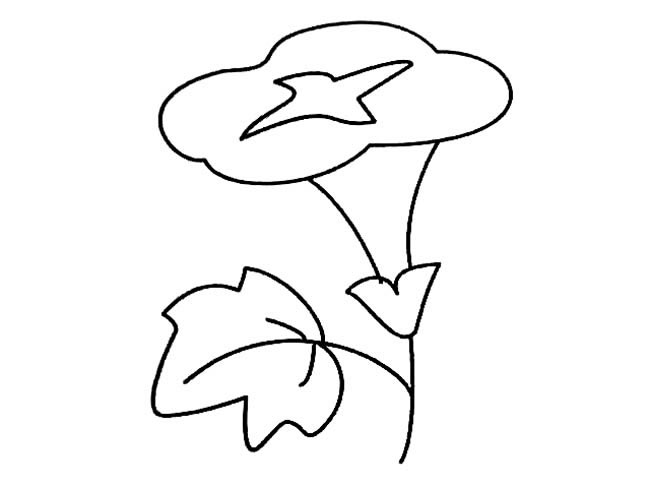 牵牛花的简单画法(牵牛花的画法步骤视频)