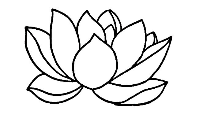 关于荷花的简笔画(关于荷花的简笔画简单又好看)