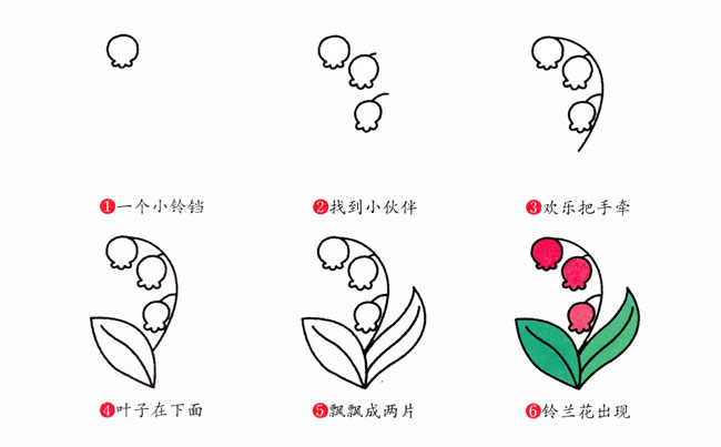 带颜色的铃兰花简笔画教程(带颜色的铃兰花简笔画图片)